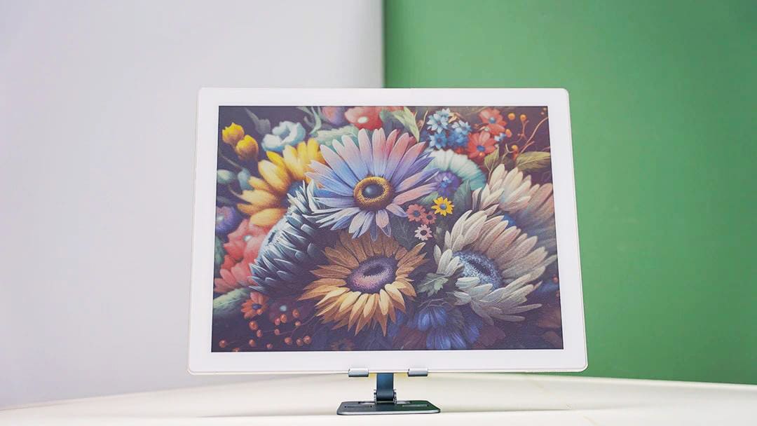 Dijital Fiyat Etiketlerinin Ekran Farklılıkları